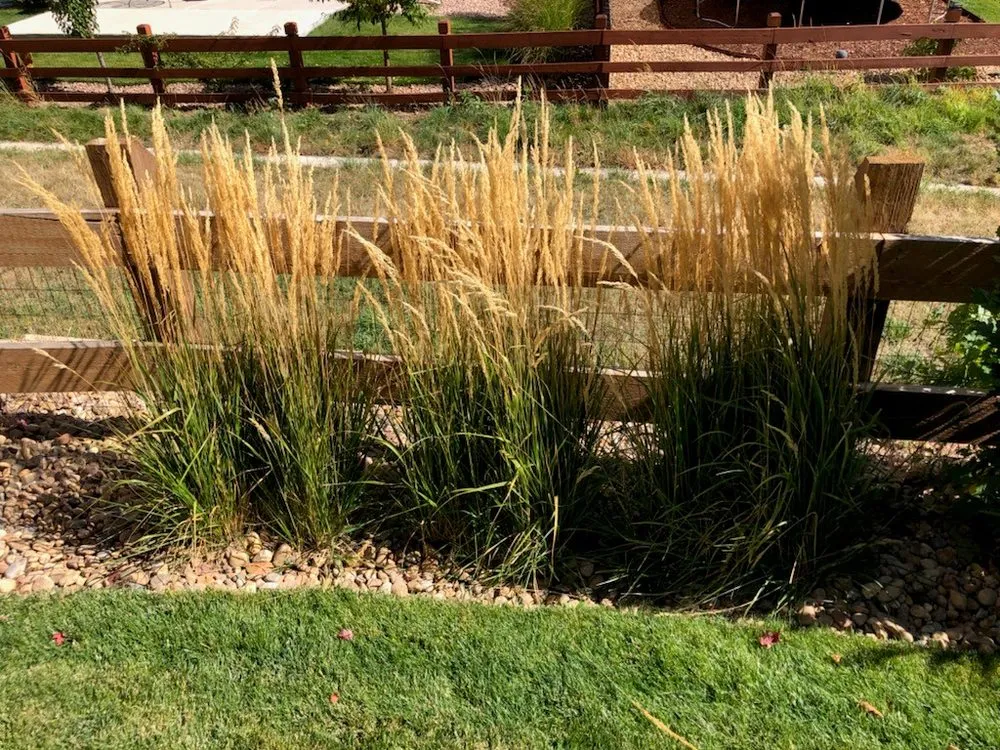 Reliable residential landscaping in Parker, CO - United Property Solutions