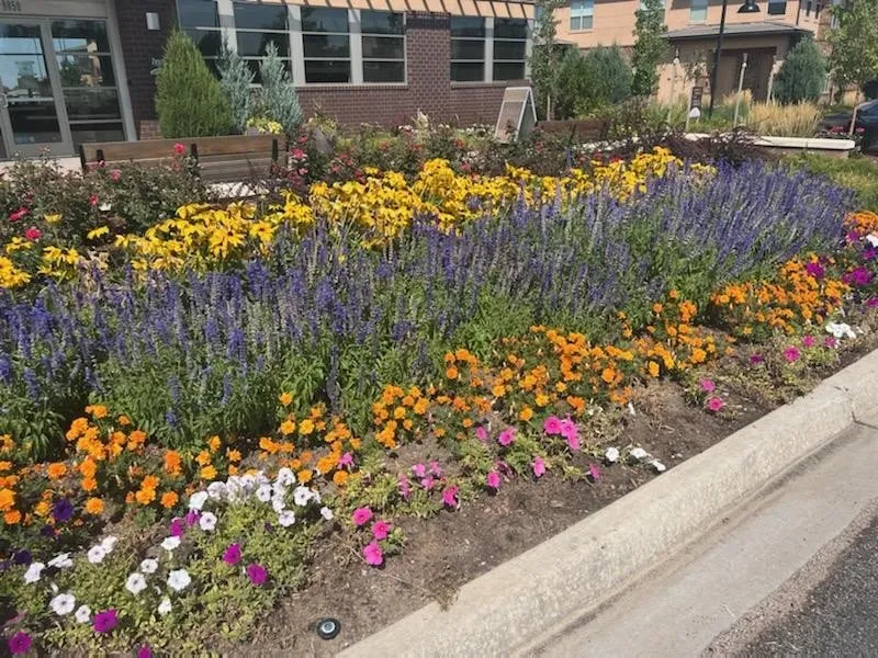 Custom outdoor landscaping with custom design across Parker, CO - United Property Solutions