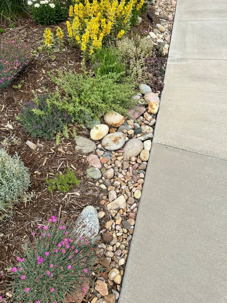 Professional outdoor landscaping with custom design across Parker, CO - United Property Solutions