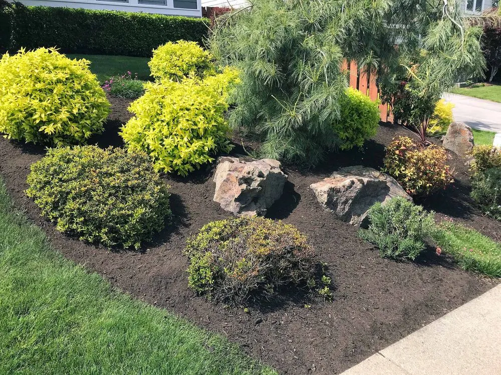 Custom lawn mowing service in Snohomish, WA - United Recycling & Organics