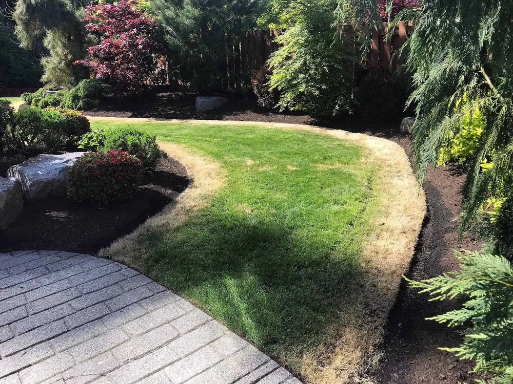 Expert lawn care service with custom design in Snohomish, WA by United Recycling & Organics