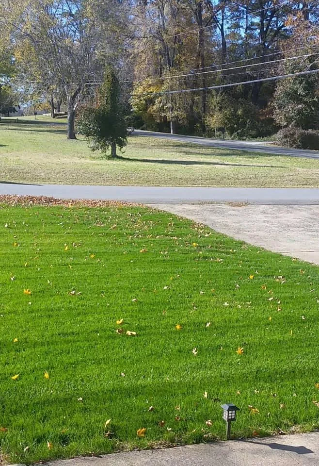 Professional landscape installation in Rock Hill, SC by United Stripes Lawn Care