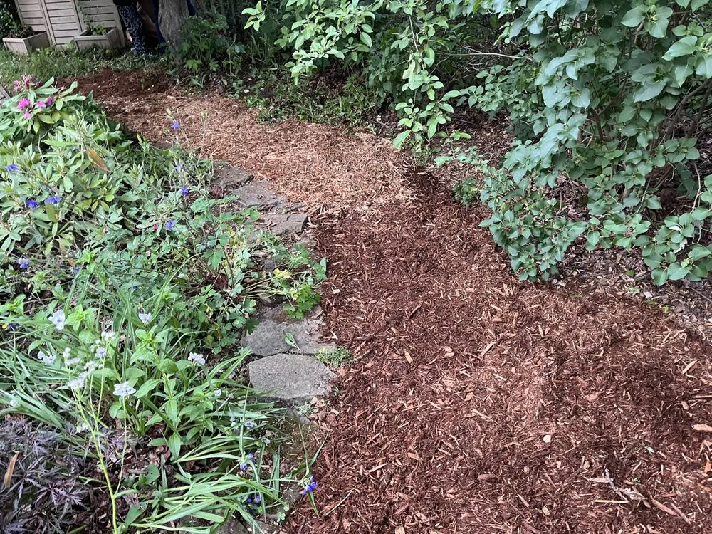 Professional lawn mowing service for homes in Warren, MI by United Superior Landscape