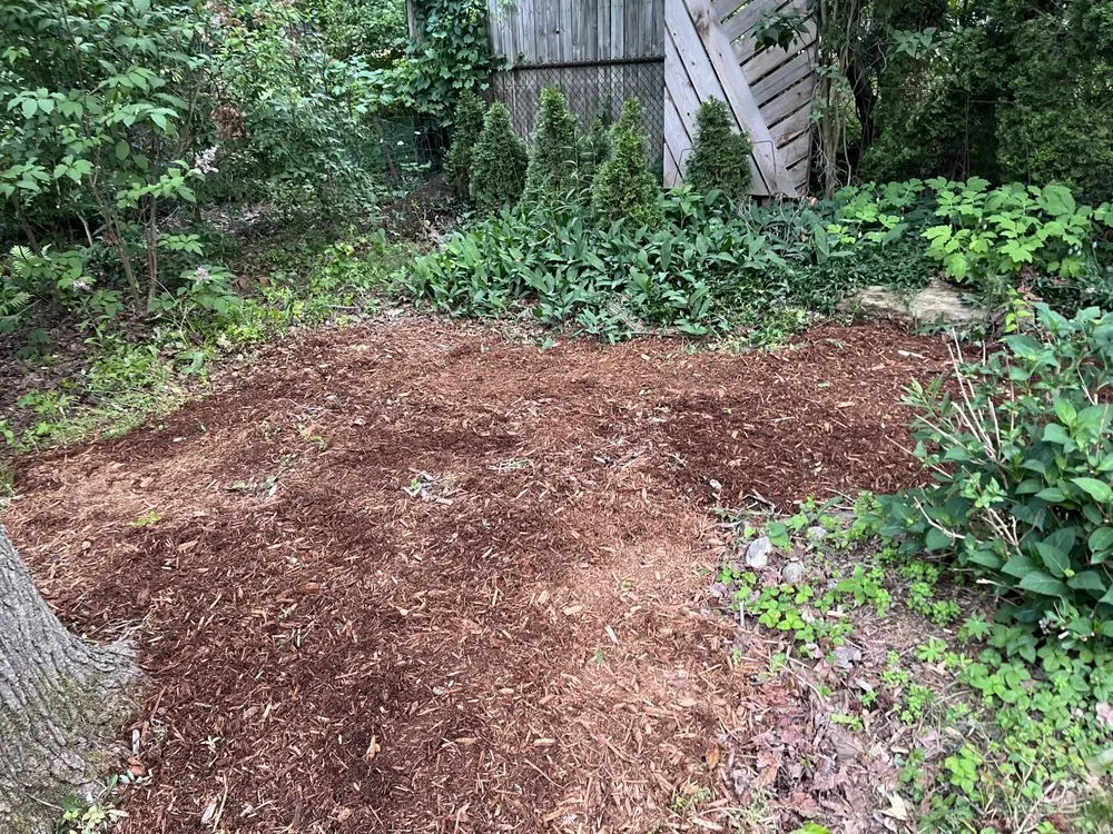 Top-rated landscape design for outdoor upgrades across Warren, MI - United Superior Landscape