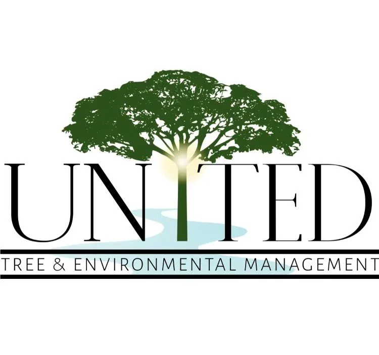 Professional outdoor landscaping in Colton, CA by United Tree & Environmental Management
