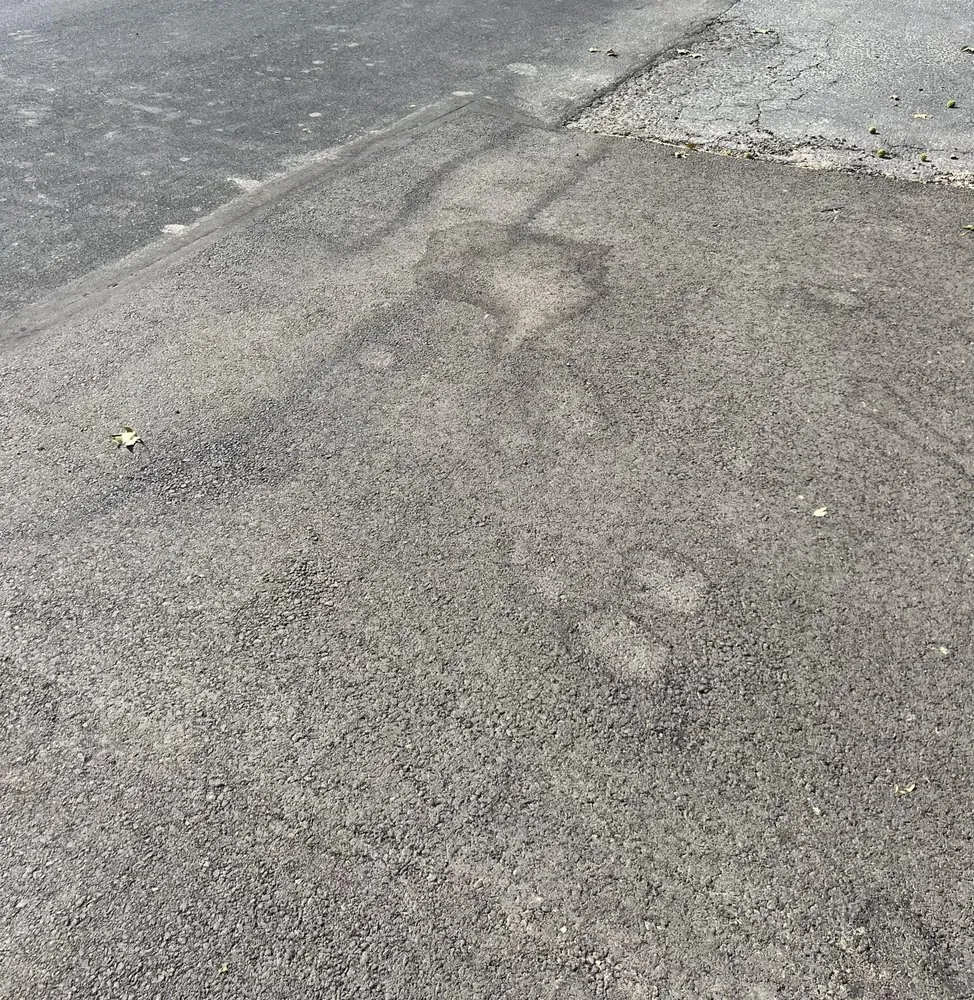 Top-rated outdoor landscaping experts serving Colton, CA - United Tree & Environmental Management