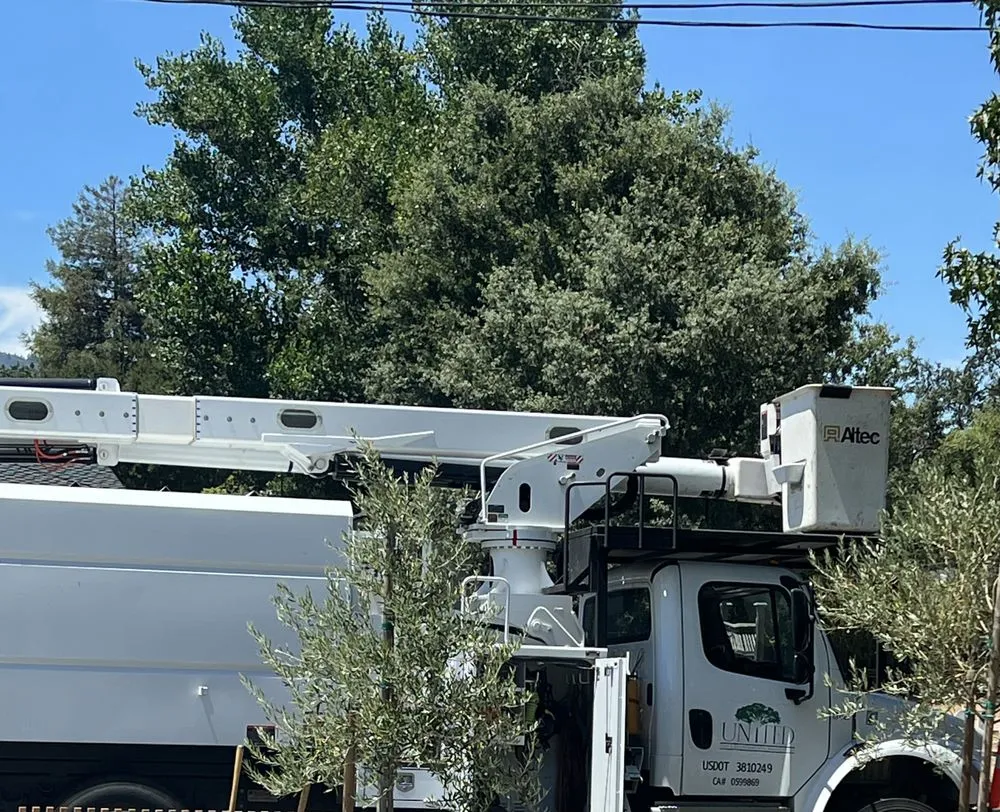 Expert residential landscaping for beautiful yards in Colton, CA by United Tree & Environmental Management