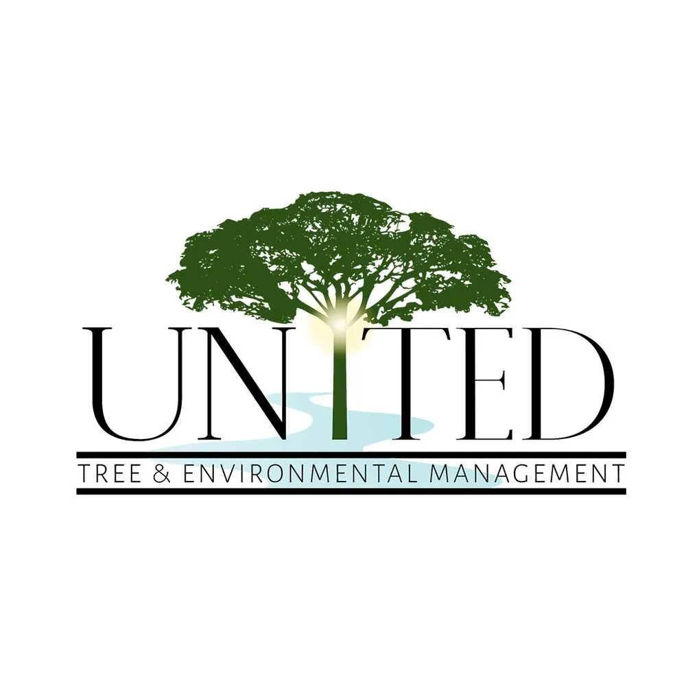 Affordable landscape design in Colton, CA - United Tree & Environmental Management