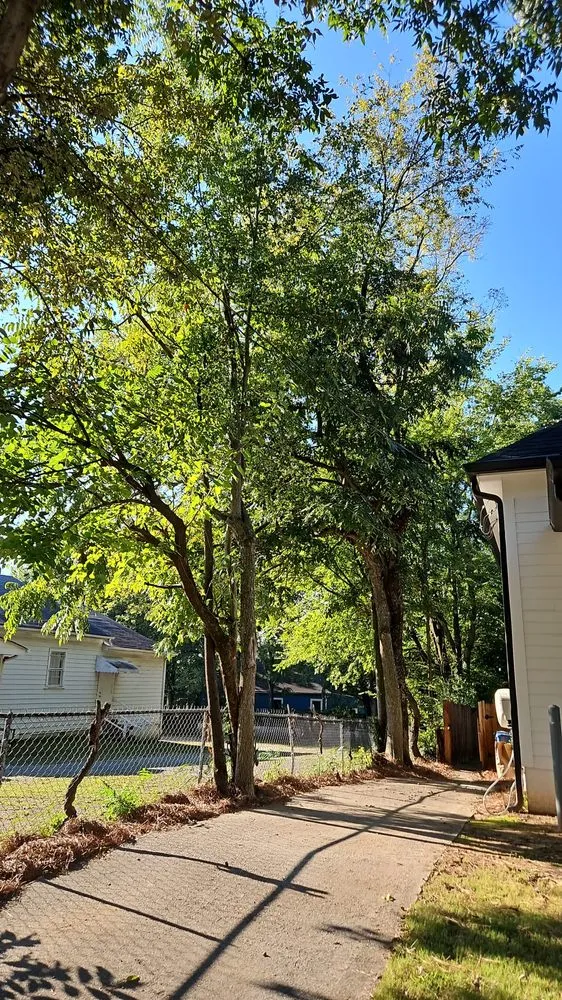 Custom landscaping services experts serving Marietta, GA - United Tree Pro Service