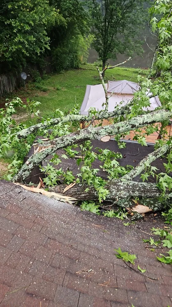 Top-rated lawn mowing service for homes in Marietta, GA by United Tree Pro Service