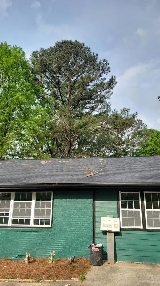 Trusted lawn care service for homes in Marietta, GA by United Tree Pro Service