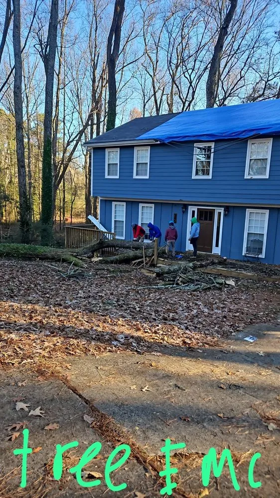 Affordable landscape installation in Marietta, GA by United Tree Pro Service