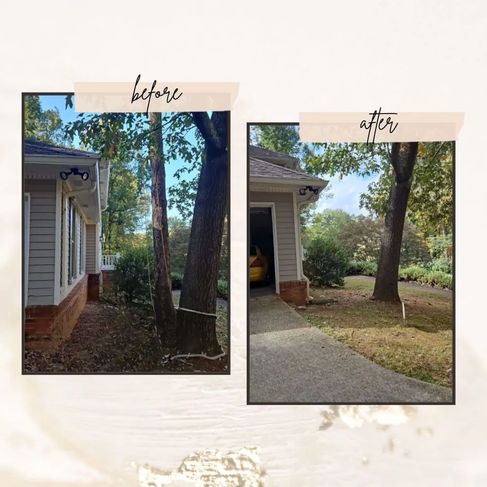 Professional residential landscaping for homes in Marietta, GA by United Tree Pro Service