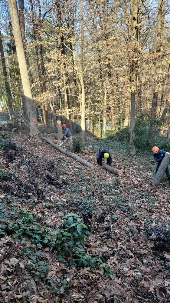 Affordable garden landscaping in Marietta, GA - United Tree Pro Service