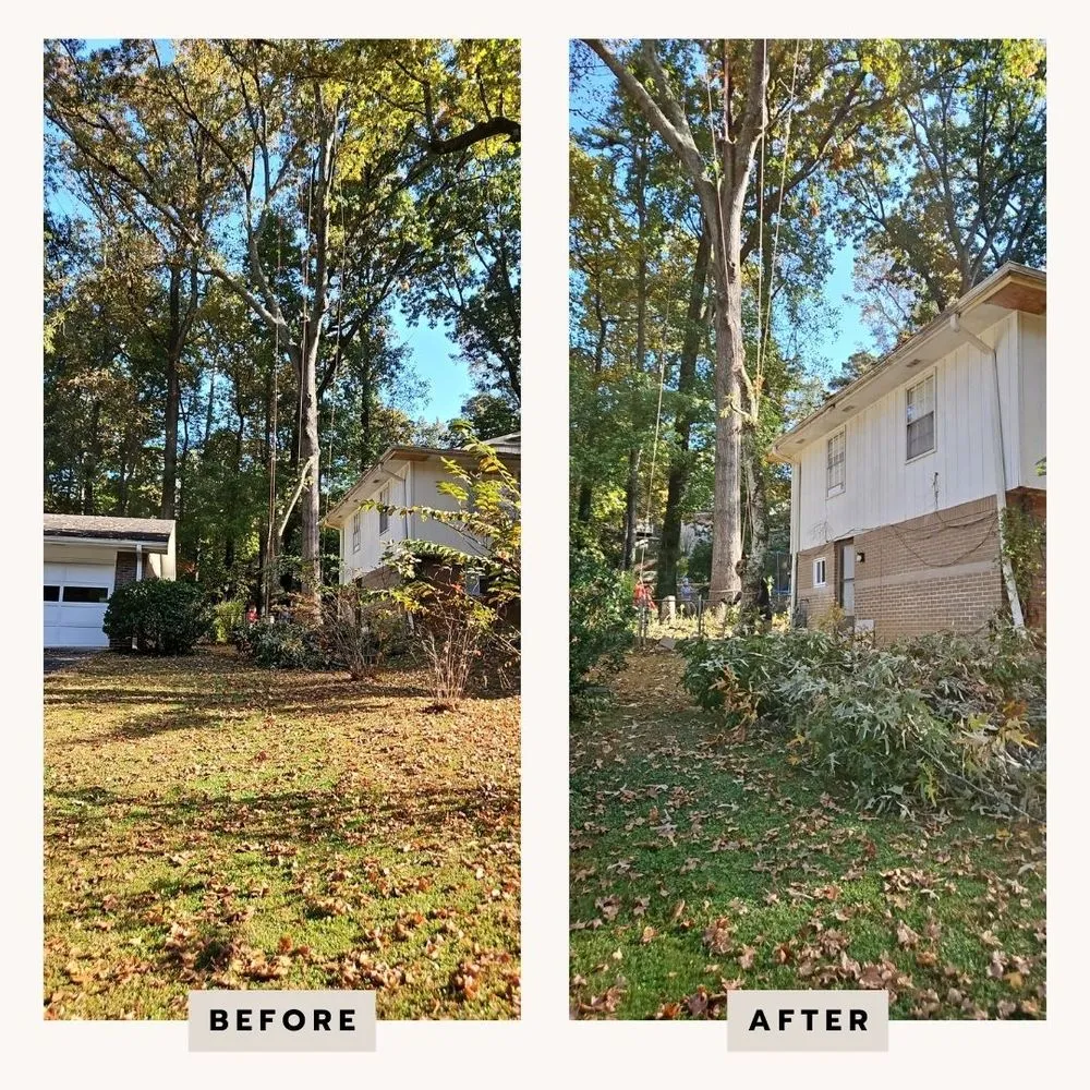 Local residential landscaping in Marietta, GA - United Tree Pro Service