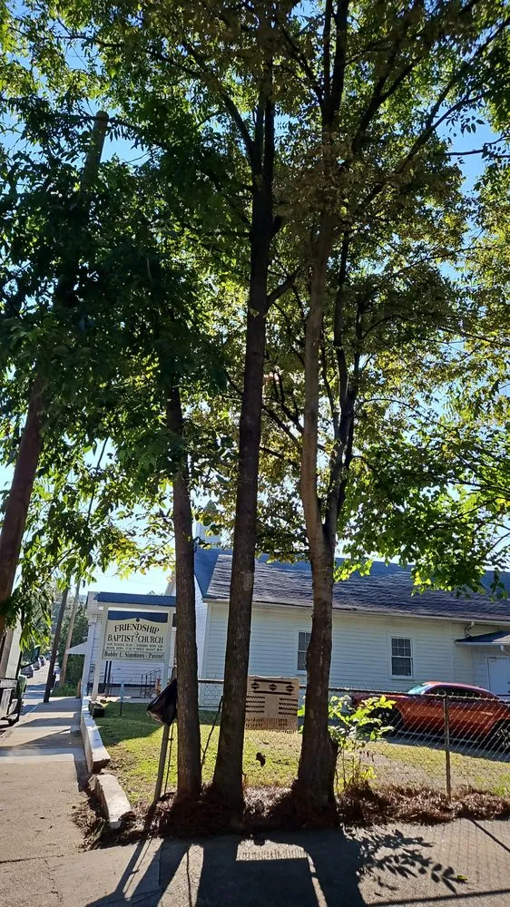 Expert lawn care service experts serving Marietta, GA - United Tree Pro Service