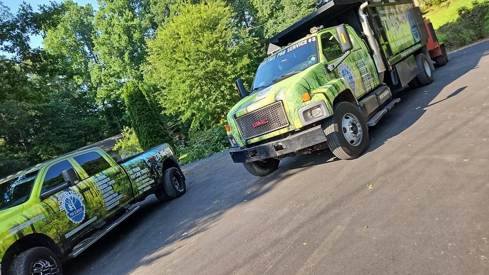 Top-rated landscape design in Marietta, GA by United Tree Pro Service