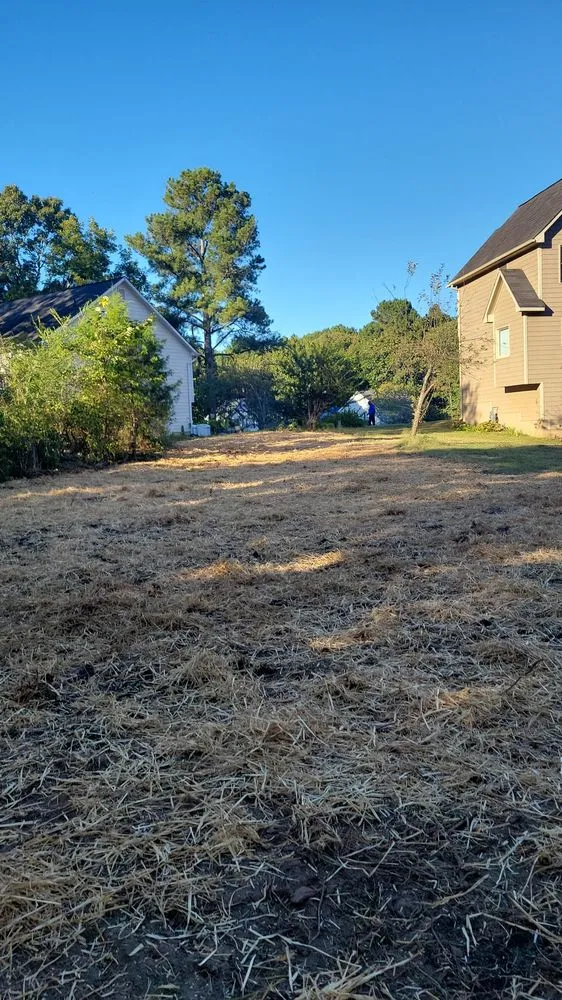 Affordable yard cleanup service for outdoor upgrades in Marietta, GA by United Tree Pro Service