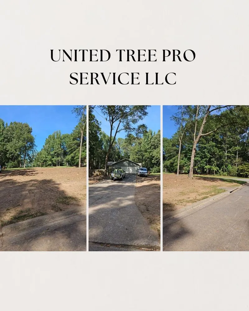 Reliable landscaping services experts serving Marietta, GA - United Tree Pro Service