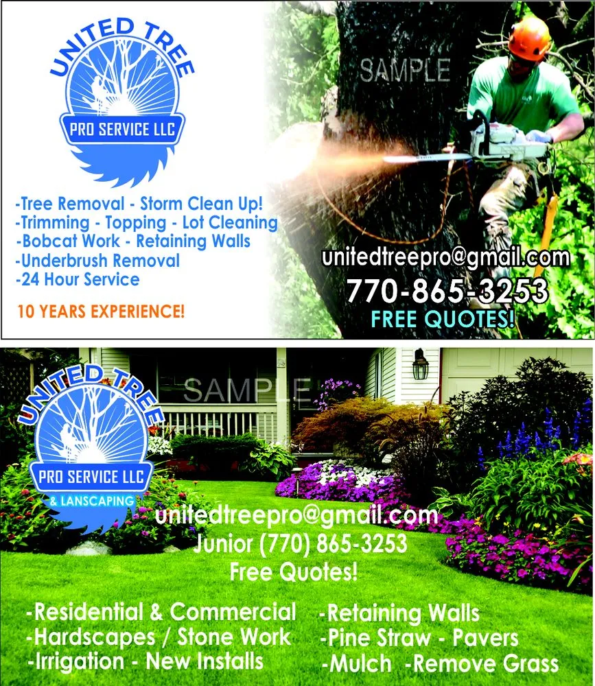 Reliable landscape design in Marietta, GA - United Tree Pro Service