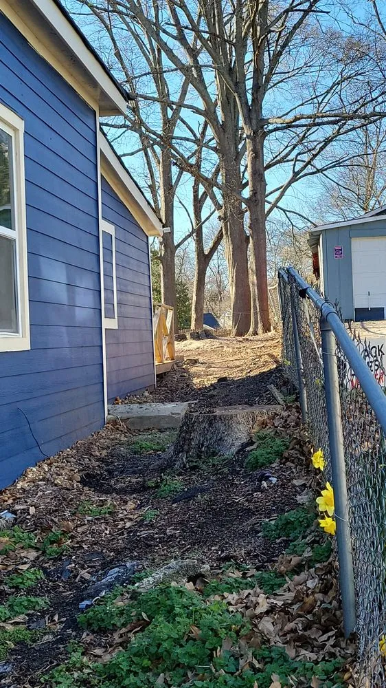 Reliable lawn care service experts serving Marietta, GA - United Tree Pro Service