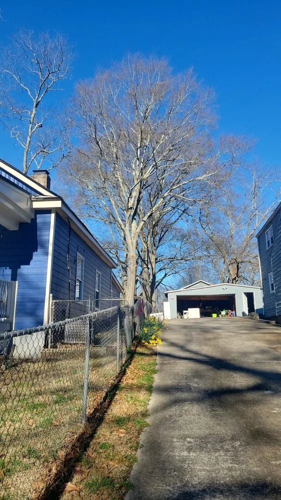 Professional landscaping services in Marietta, GA by United Tree Pro Service