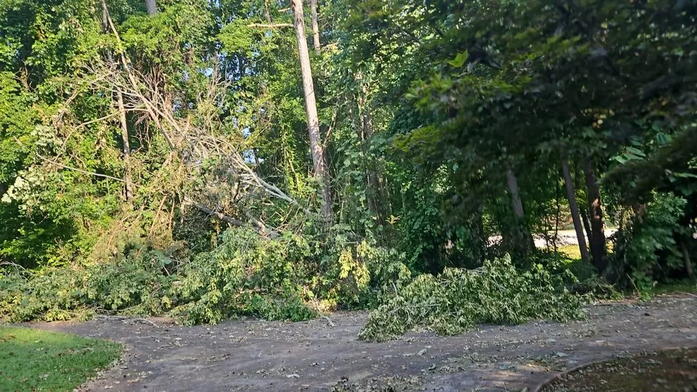 Top-rated outdoor landscaping in Marietta, GA by United Tree Pro Service