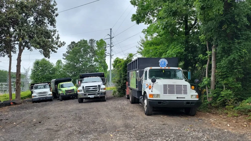 Top-rated yard cleanup service in Marietta, GA by United Tree Pro Service