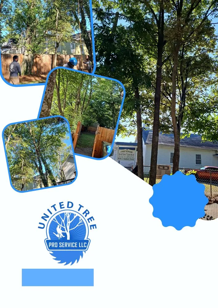 Professional outdoor landscaping in Marietta, GA by United Tree Pro Service