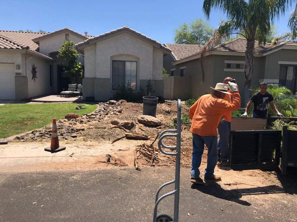Trusted yard maintenance for year-round maintenance in Paradise Valley, AZ by United Tree Removal And Landscaping