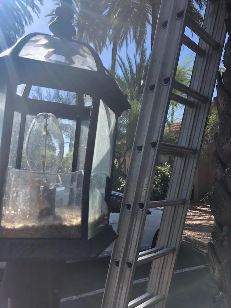 Professional yard cleanup service near you across Paradise Valley, AZ - United Tree Removal And Landscaping