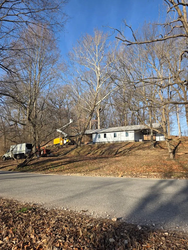 Reliable yard maintenance in Bella Vista, AR by United Tree Service