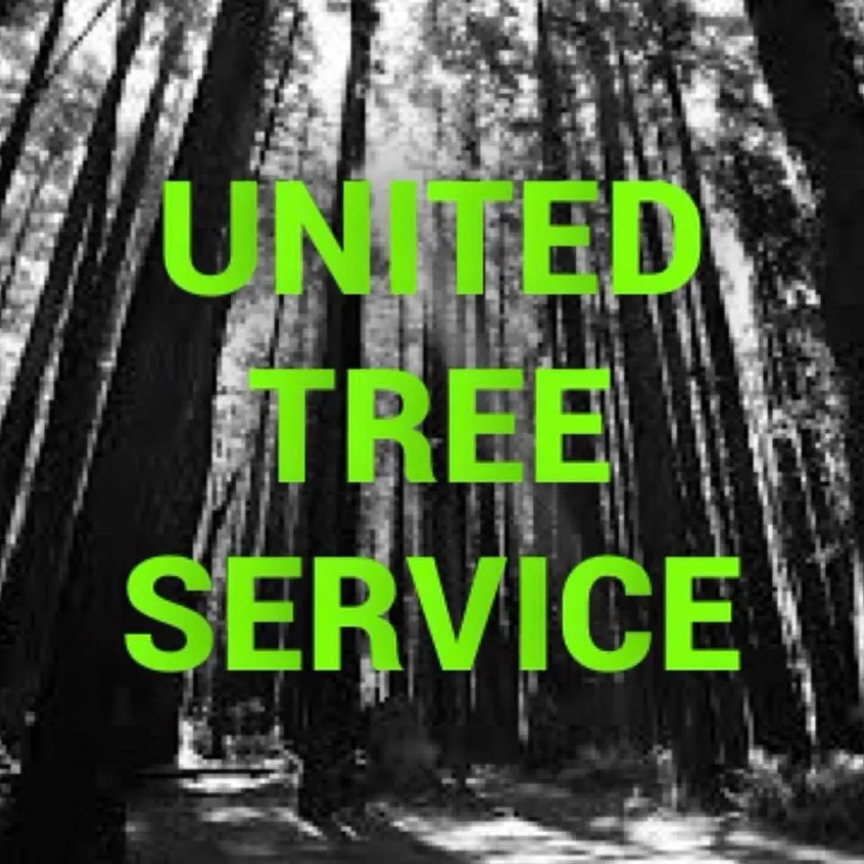 Trusted landscape design near you across Bella Vista, AR - United Tree Service