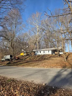 United Tree Service Logo