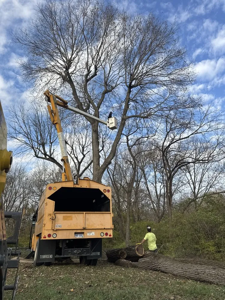 Reliable landscaping services for homes across Fort Pierce, FL - United Tree Service