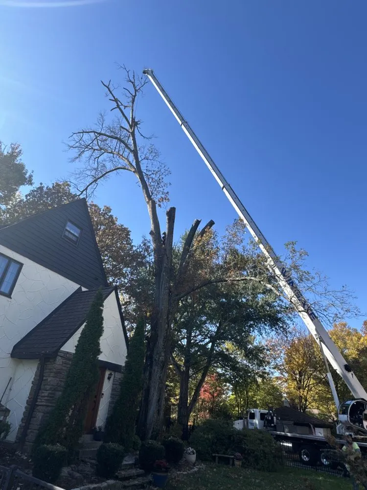 Expert landscape installation in Fort Pierce, FL - United Tree Service