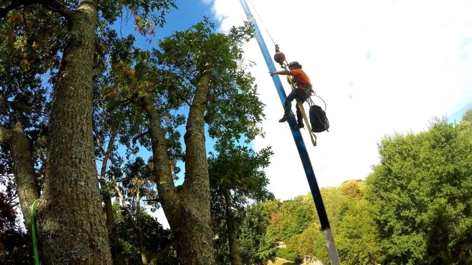 Custom garden landscaping in Long Beach, MS - United Tree Service