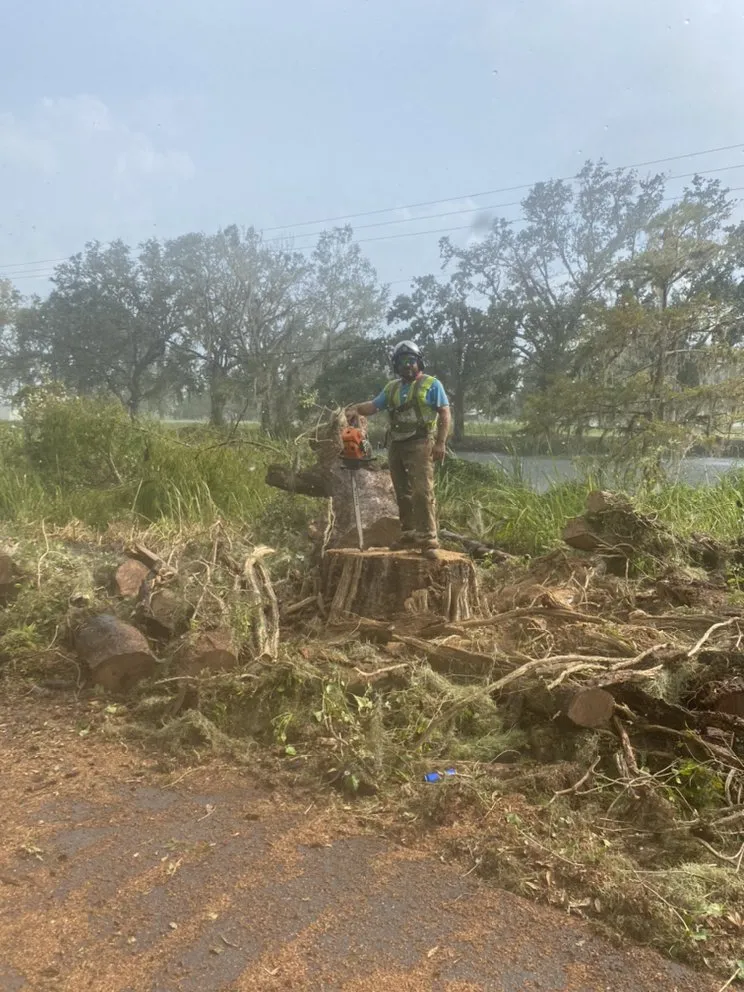 Local residential landscaping for beautiful yards in Long Beach, MS by United Tree Service