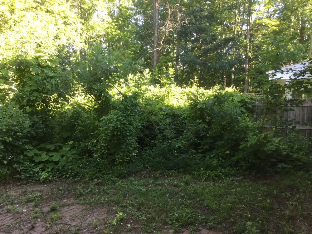 Professional garden landscaping for outdoor upgrades across Morganville, NJ - United Tree Service