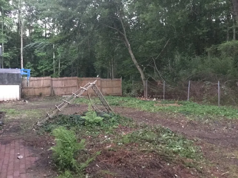 Local lawn mowing service in Morganville, NJ by United Tree Service