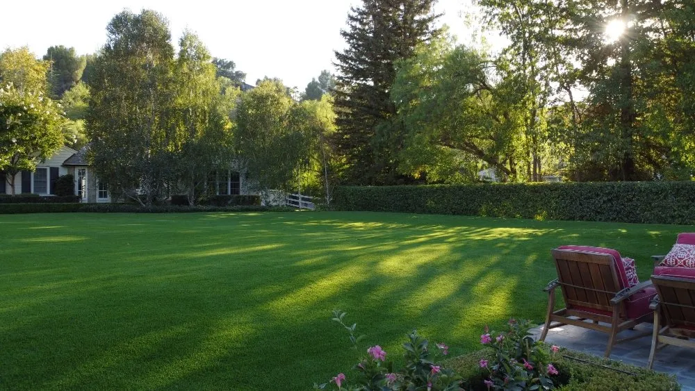 Local residential landscaping in Woodland Hills, CA by United Turf