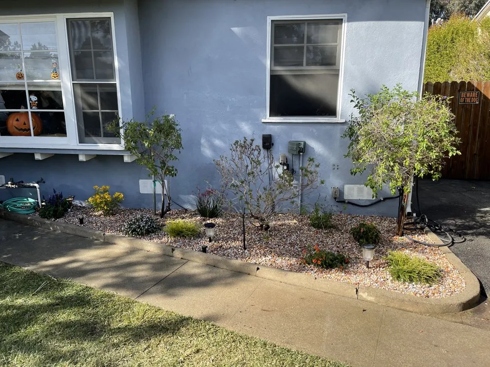Reliable landscape design experts serving Los Angeles, CA - United West Coast