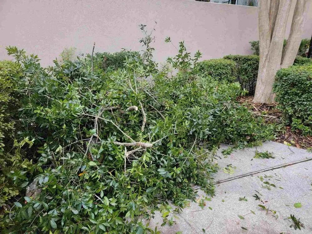 Local yard cleanup service near you in Akron, OH by Unity Construction Remodeling And Landscaping