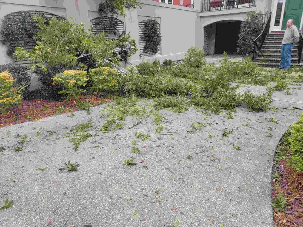 Trusted lawn care service in Akron, OH by Unity Construction Remodeling And Landscaping