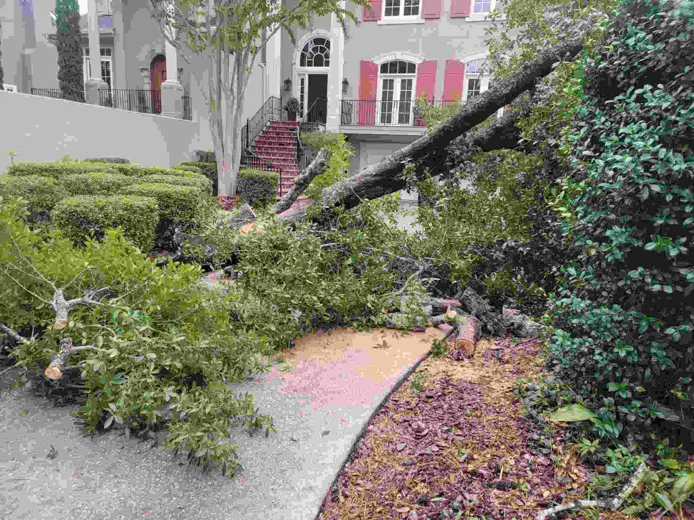 Professional landscape design for year-round maintenance across Akron, OH - Unity Construction Remodeling And Landscaping