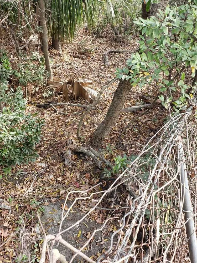 Trusted residential landscaping for residential properties in Akron, OH by Unity Construction Remodeling And Landscaping