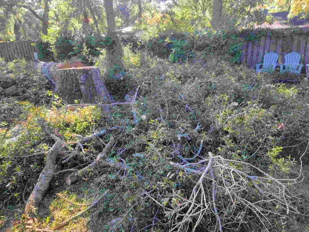 Top-rated garden landscaping experts serving Lorain, OH - Unity Construction Remodeling And Landscaping