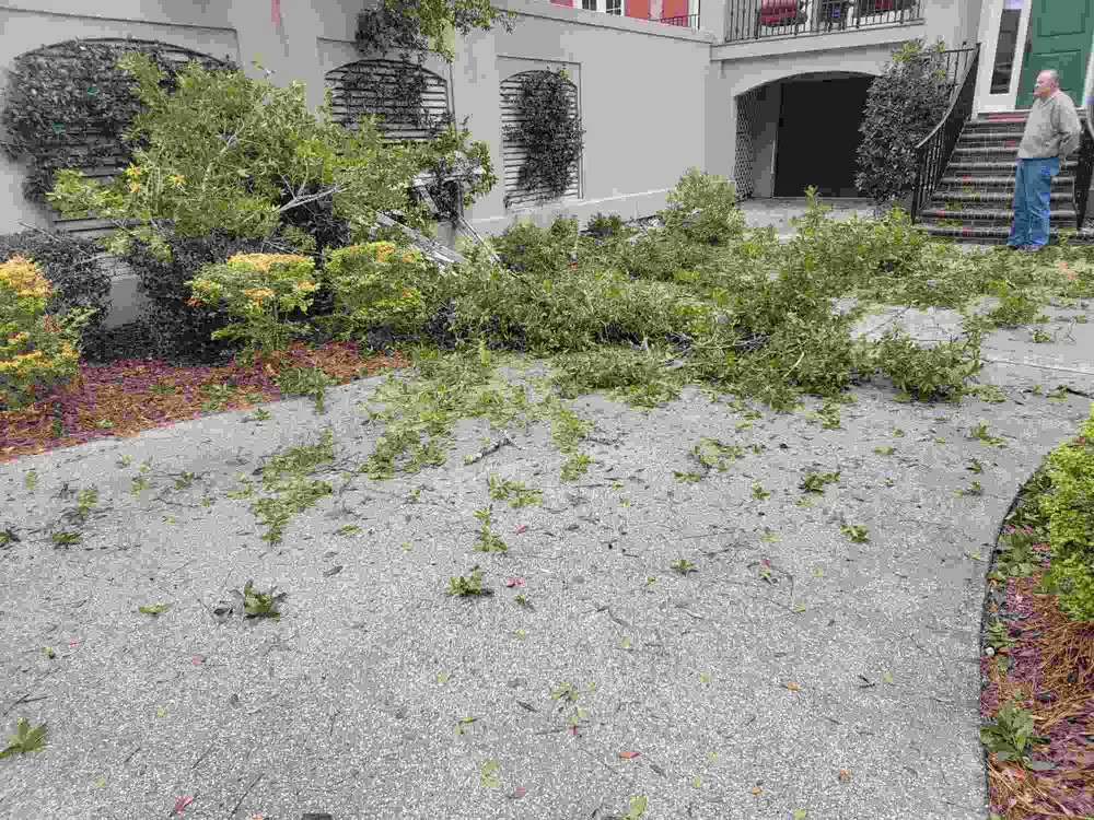 Reliable lawn mowing service experts serving Lorain, OH - Unity Construction Remodeling And Landscaping