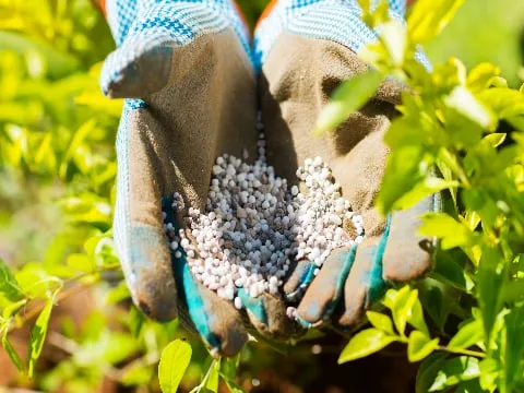 Top-rated outdoor landscaping experts serving Port Salerno, FL - Unity Landscape