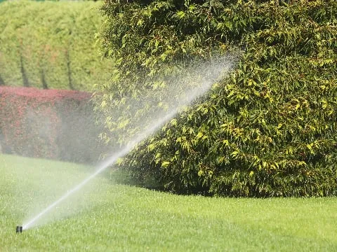 Expert landscape design in Port Salerno, FL - Unity Landscape